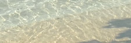 Romabinn's profile banner image