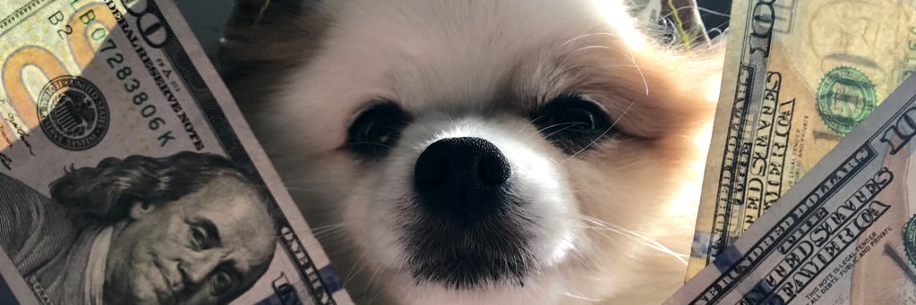 weareacult's profile banner image