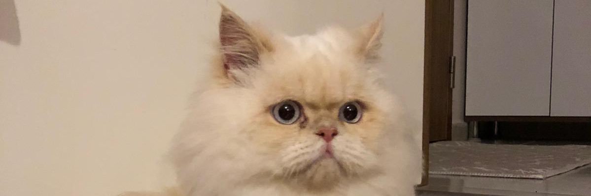 sukret_07's profile banner image