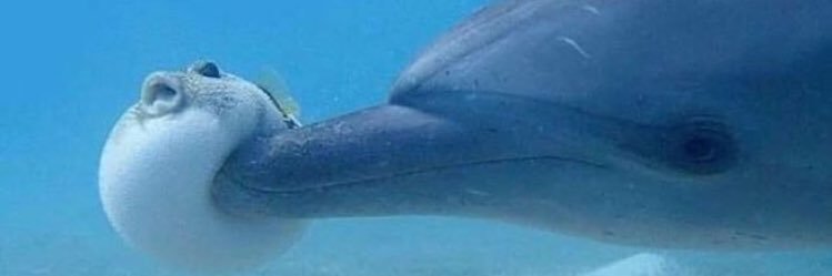 Kass_Wright22's profile banner image
