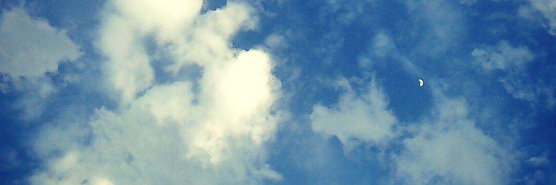 fskmlt's profile banner image