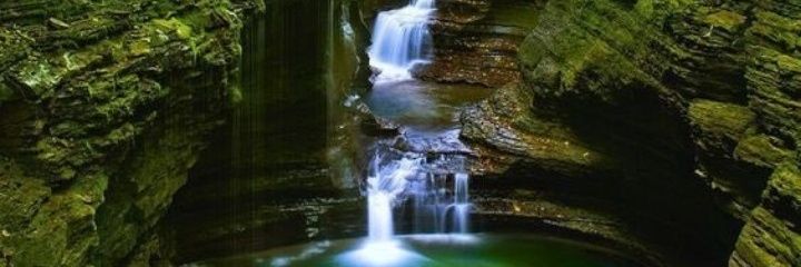michaelw82566's profile banner image