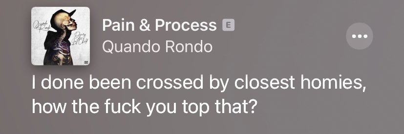 breesh levinson banner