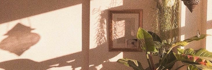 julpaulale's profile banner image