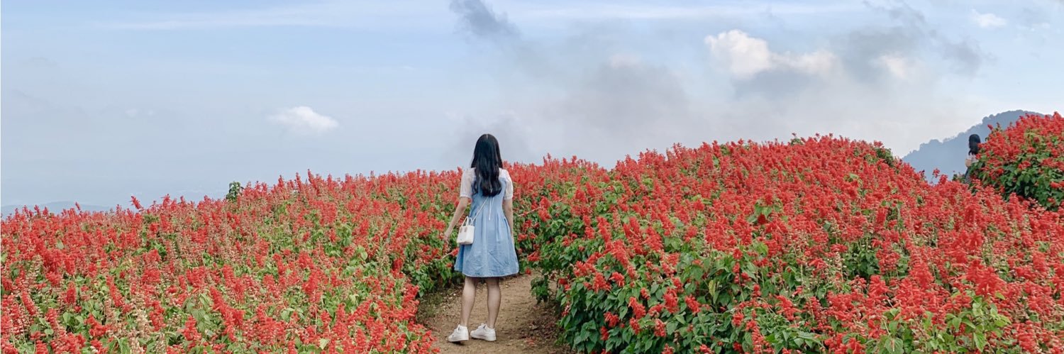 ncylks's profile banner image