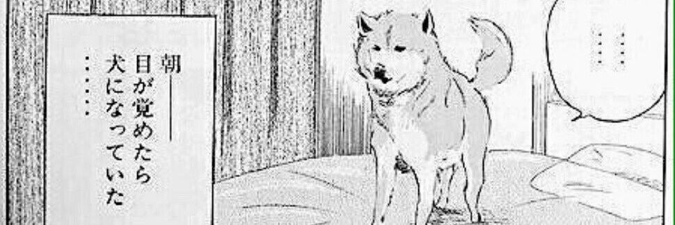 dog_men1's profile banner image