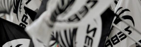 RealZebre's profile banner image