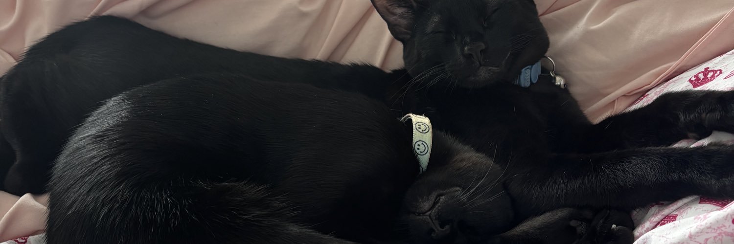 liisaaaaxo's profile banner image