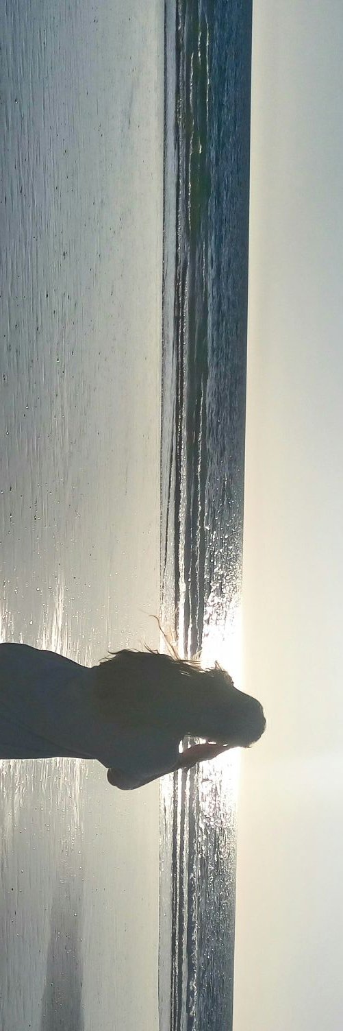 mariamembriv's profile banner image