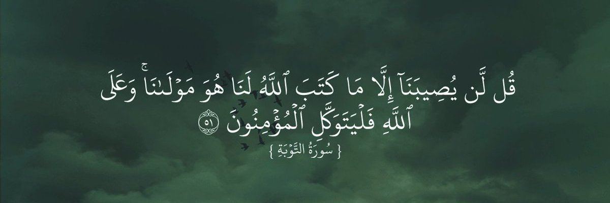 AElShouny's profile banner image