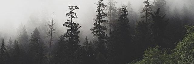 Horfezyn's profile banner image