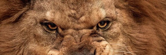 Slow_Bucks10's profile banner image