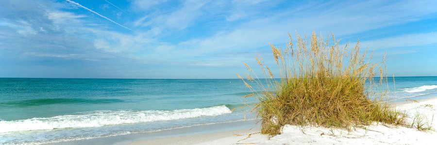 FCF_Vacations's profile banner image