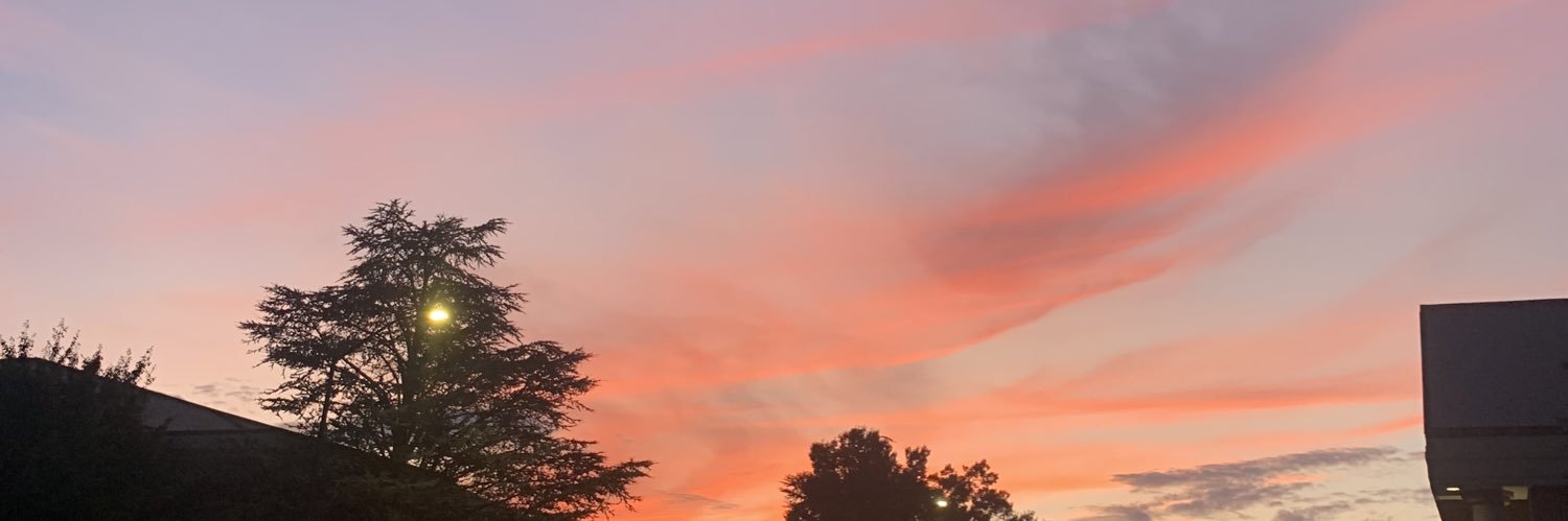 StephSheline's profile banner image