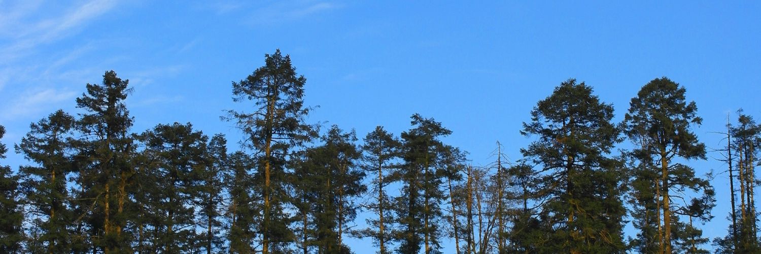 ChorchGeorge's profile banner image