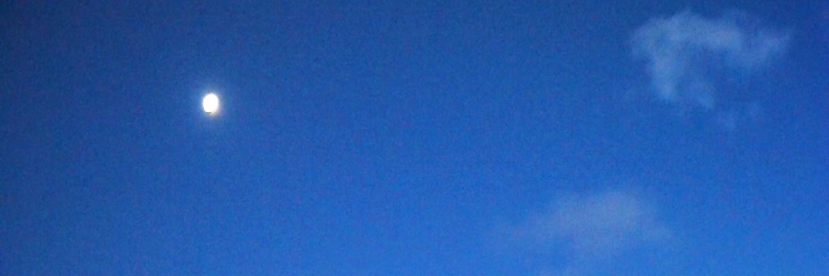 stepknee01's profile banner image