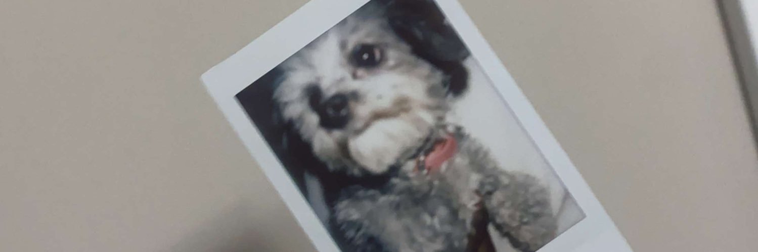 claudiaay_'s profile banner image