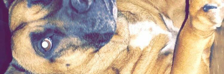 theyoungin_'s profile banner image