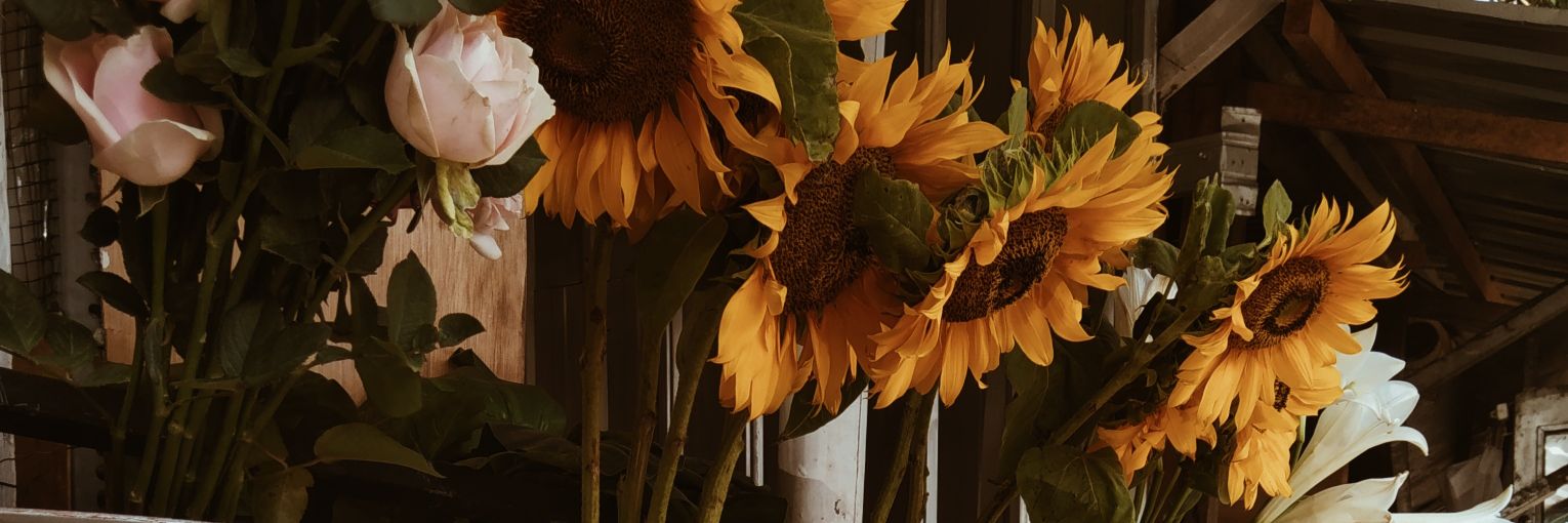 nebulanc_'s profile banner image