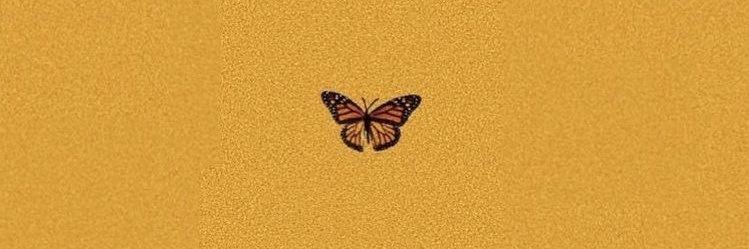 Terrykrewz's profile banner image