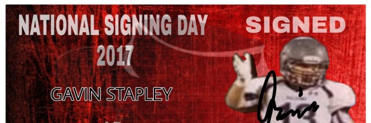 Gavin Stapley banner
