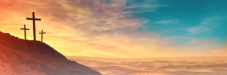 Samuel_Sioli's profile banner image