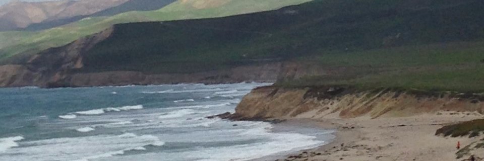 RedHotMonkeyNut's profile banner image