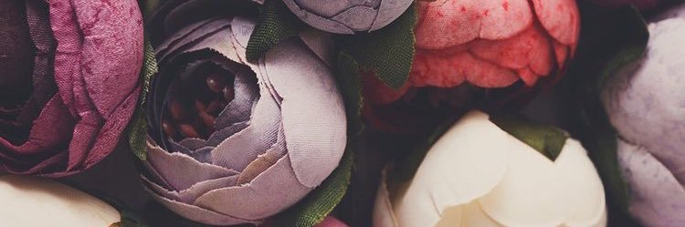 AngieHernandeez's profile banner image