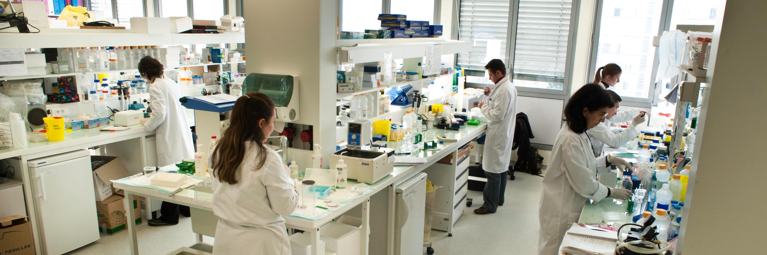 Cancer Research Center of Lyon banner