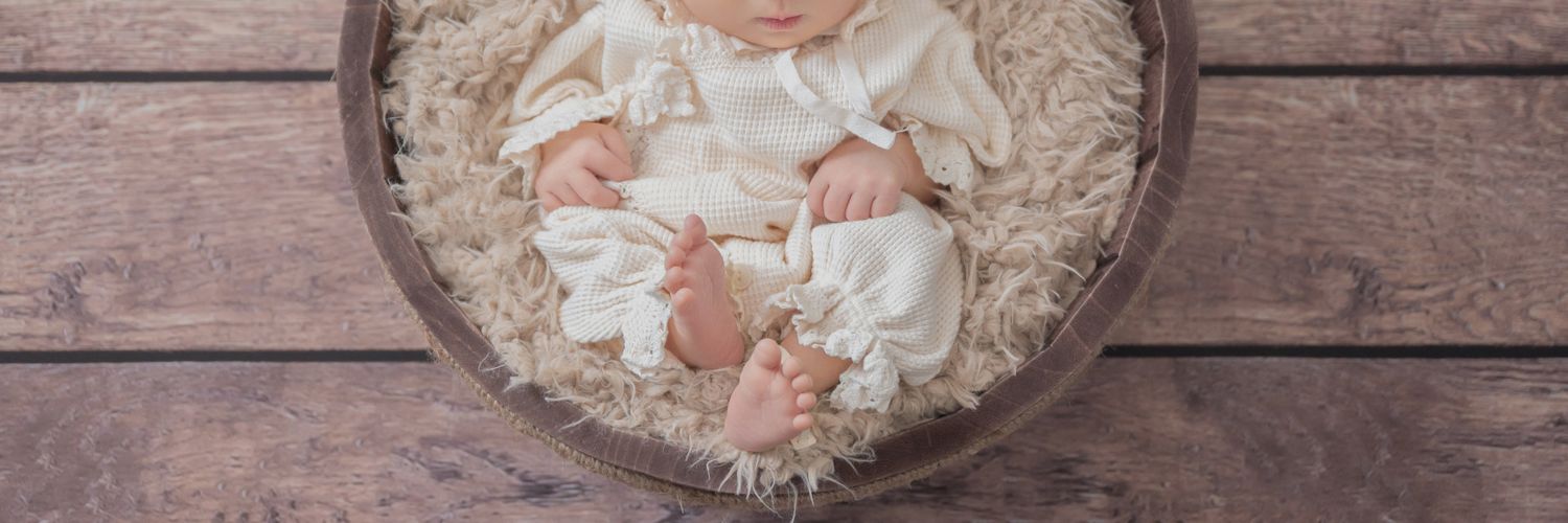 いちご🍓8m🦕 banner