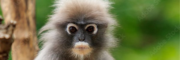 Oneshot925 Profile Banner