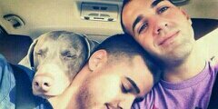 mike3272's profile banner image