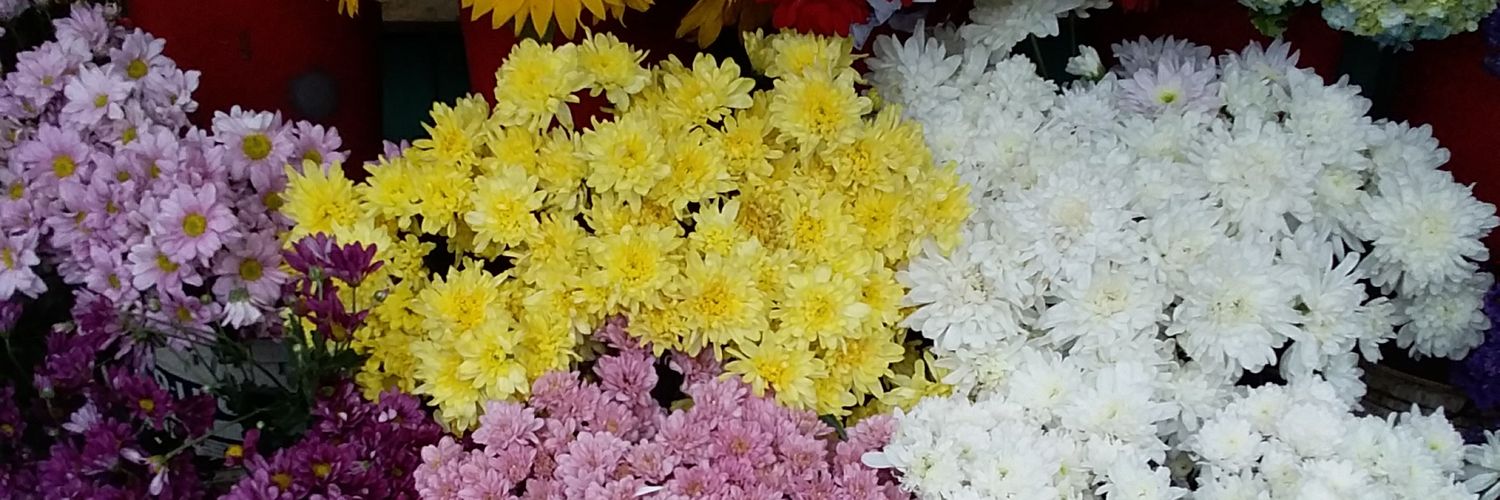 SoominPrincess's profile banner image