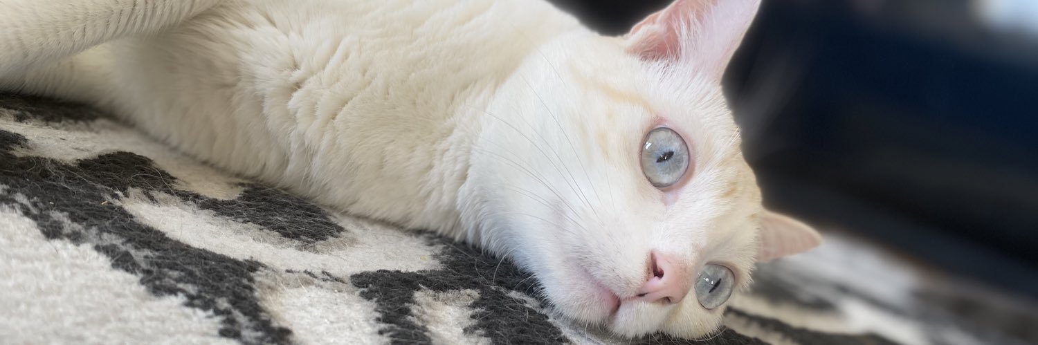 corn boy 🌽 banner