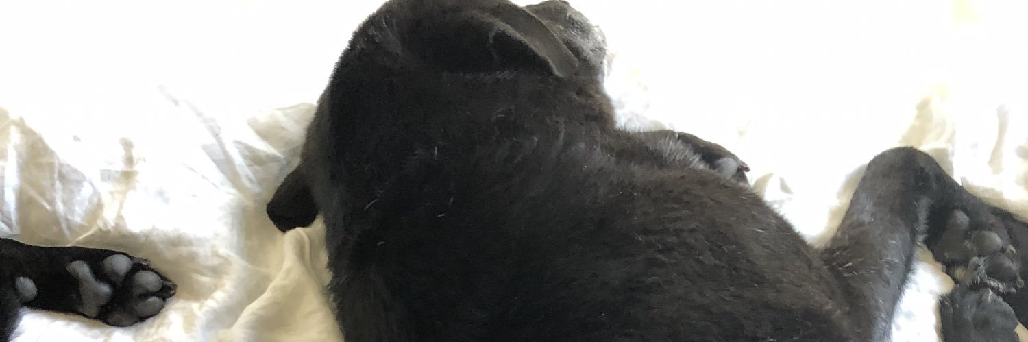 boncurry427's profile banner image