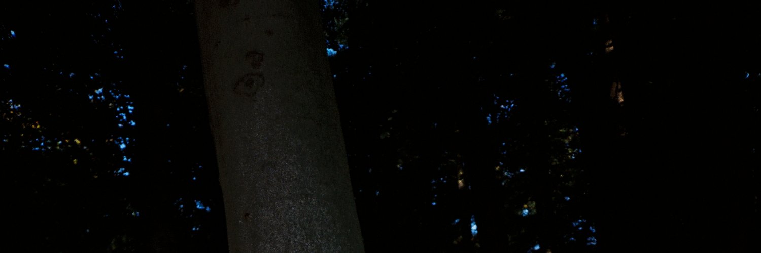 olafputker's profile banner image