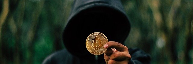 TodoTaringa's profile banner image