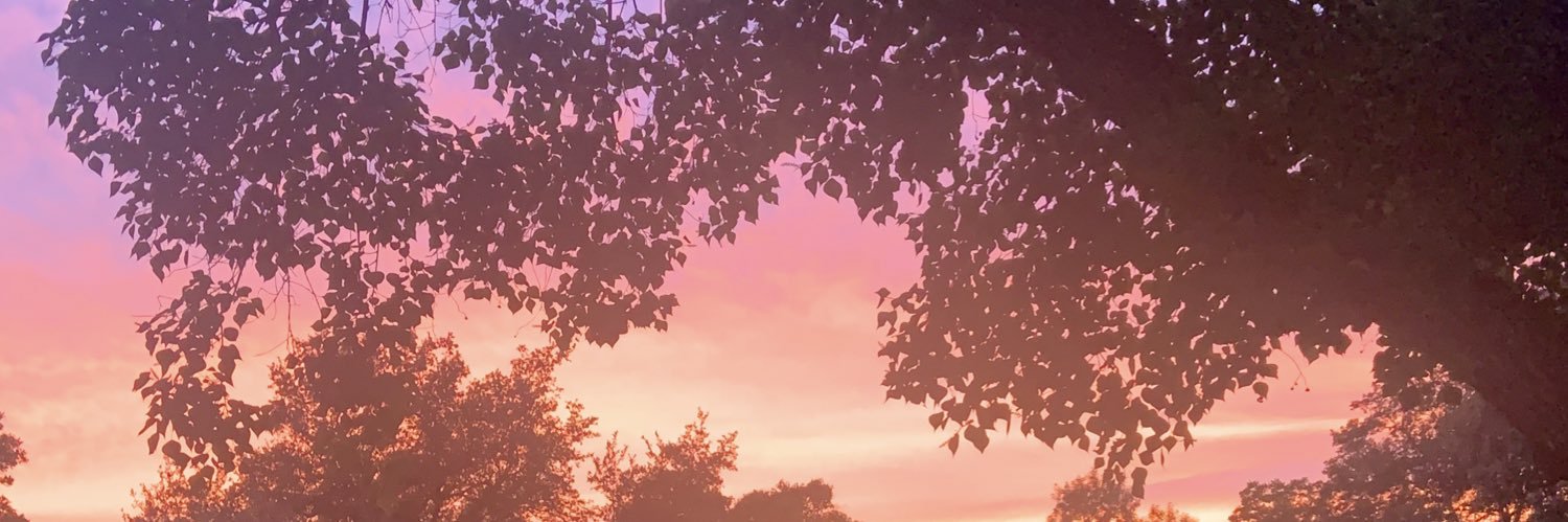 shainapoore's profile banner image
