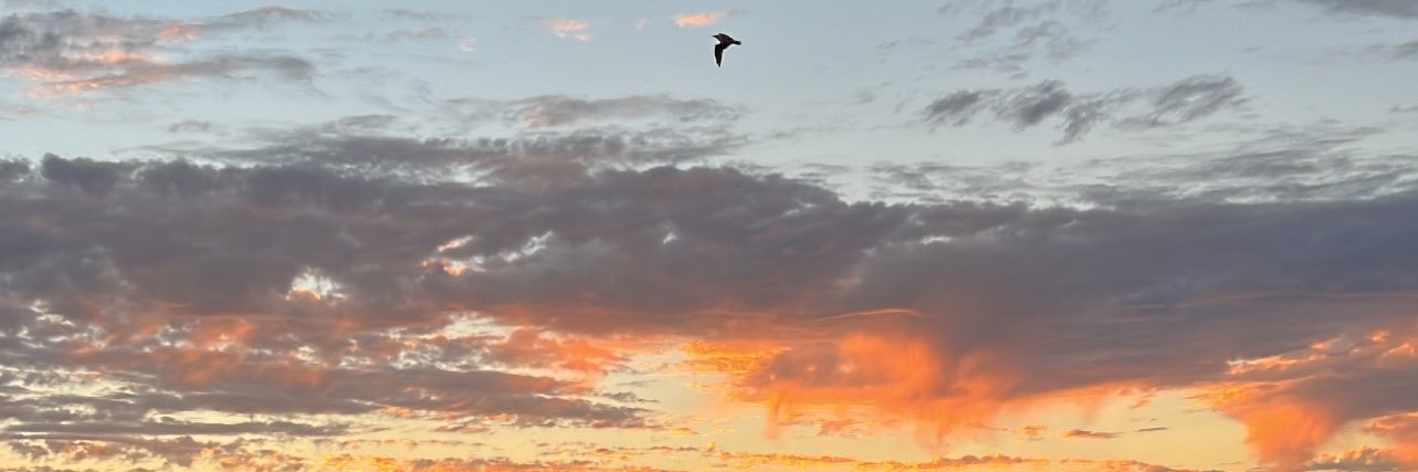 Karlonells's profile banner image