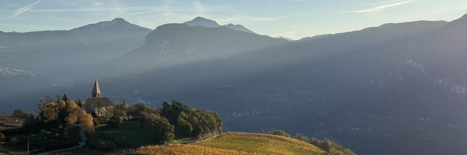 Tobias Beisel banner