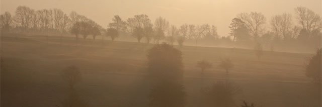 AdeleEBrand's profile banner image
