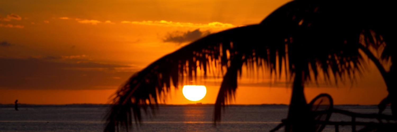 M7theusMaia's profile banner image