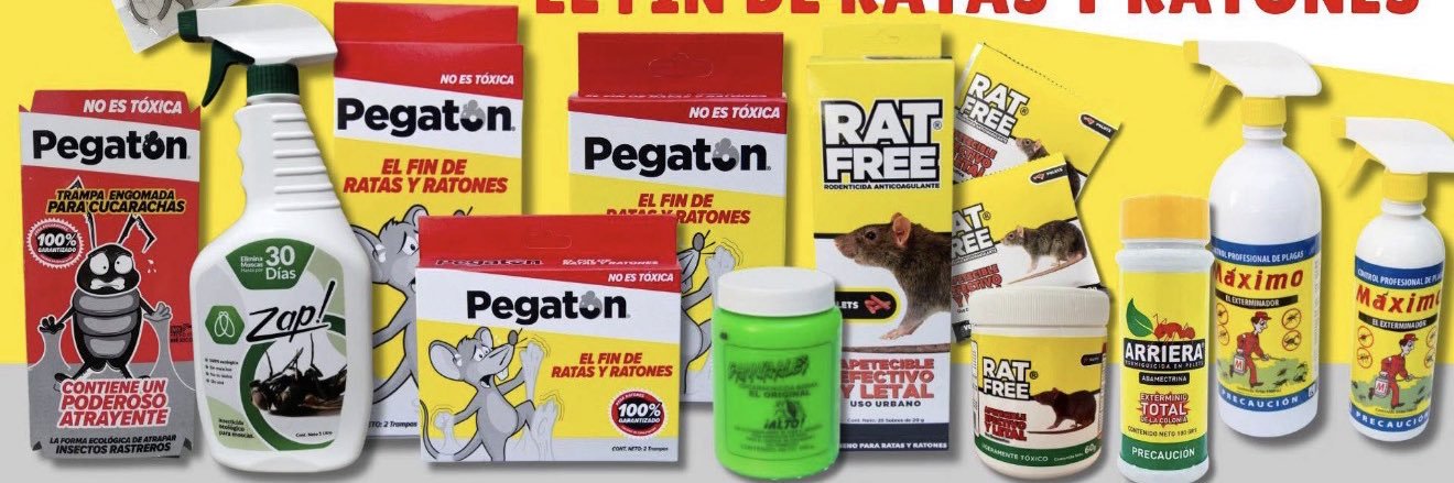 Pegaton's profile banner image