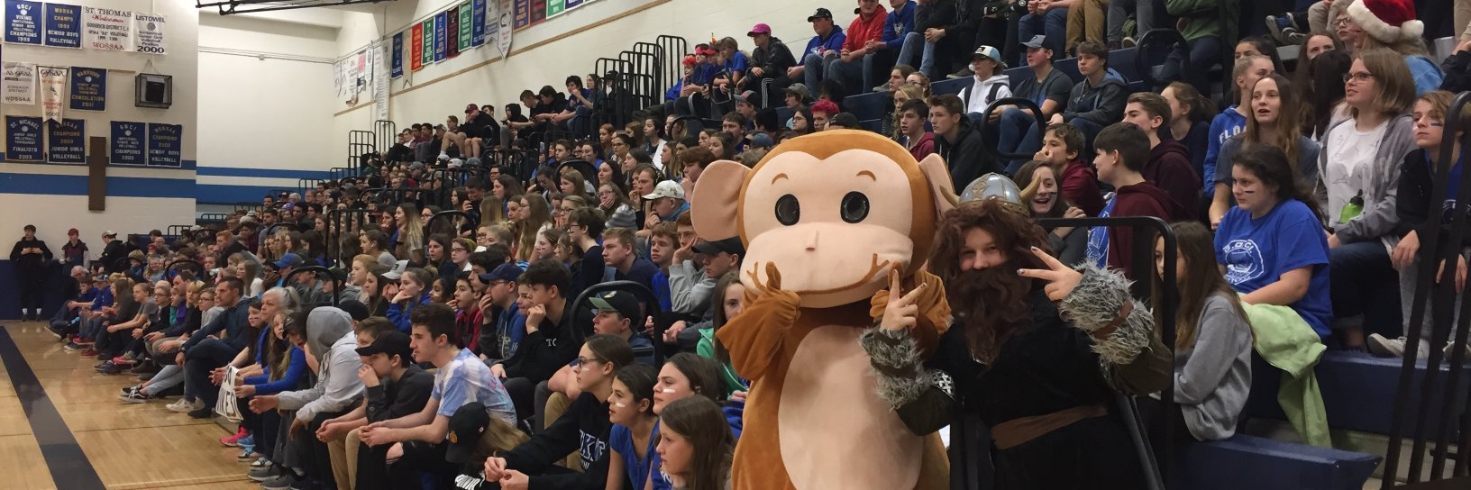 Rhonda Fritzley banner