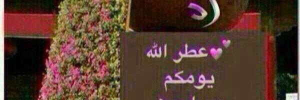 alg_tariq's profile banner image