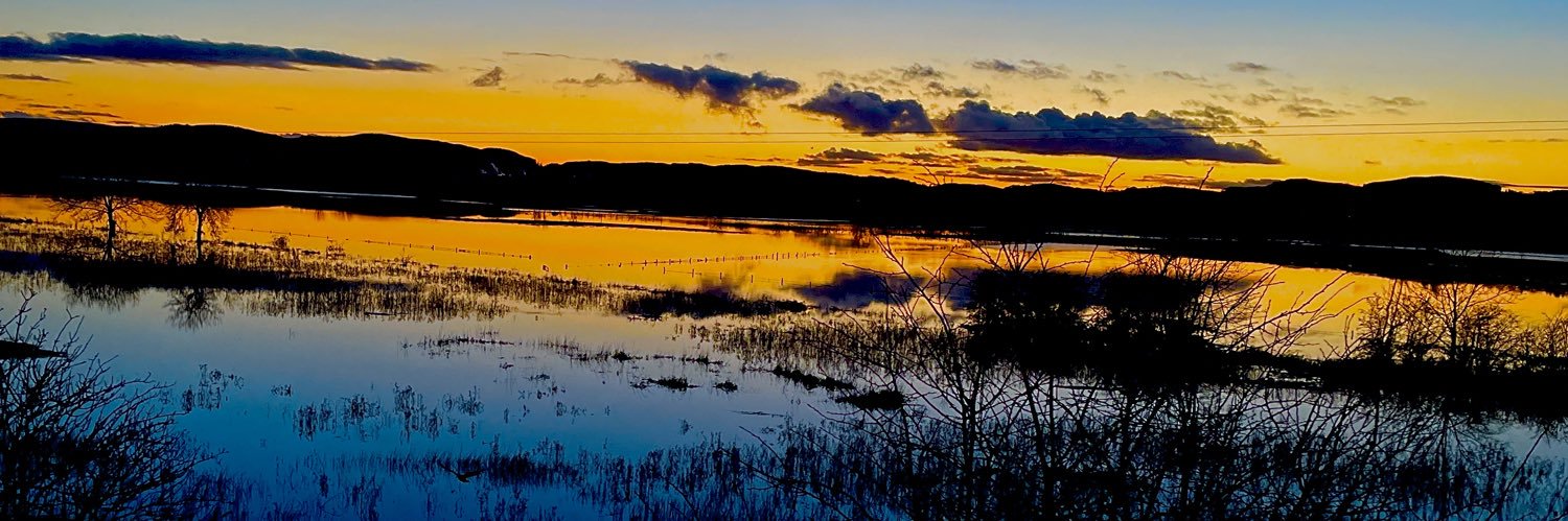 𝗗𝗲𝗿𝗲𝗸 𝗛𝗲𝘅𝘁𝗮𝗹𝗹 banner