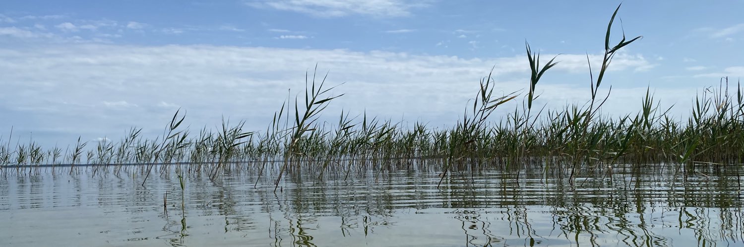 Mado Ruijs🦋 banner