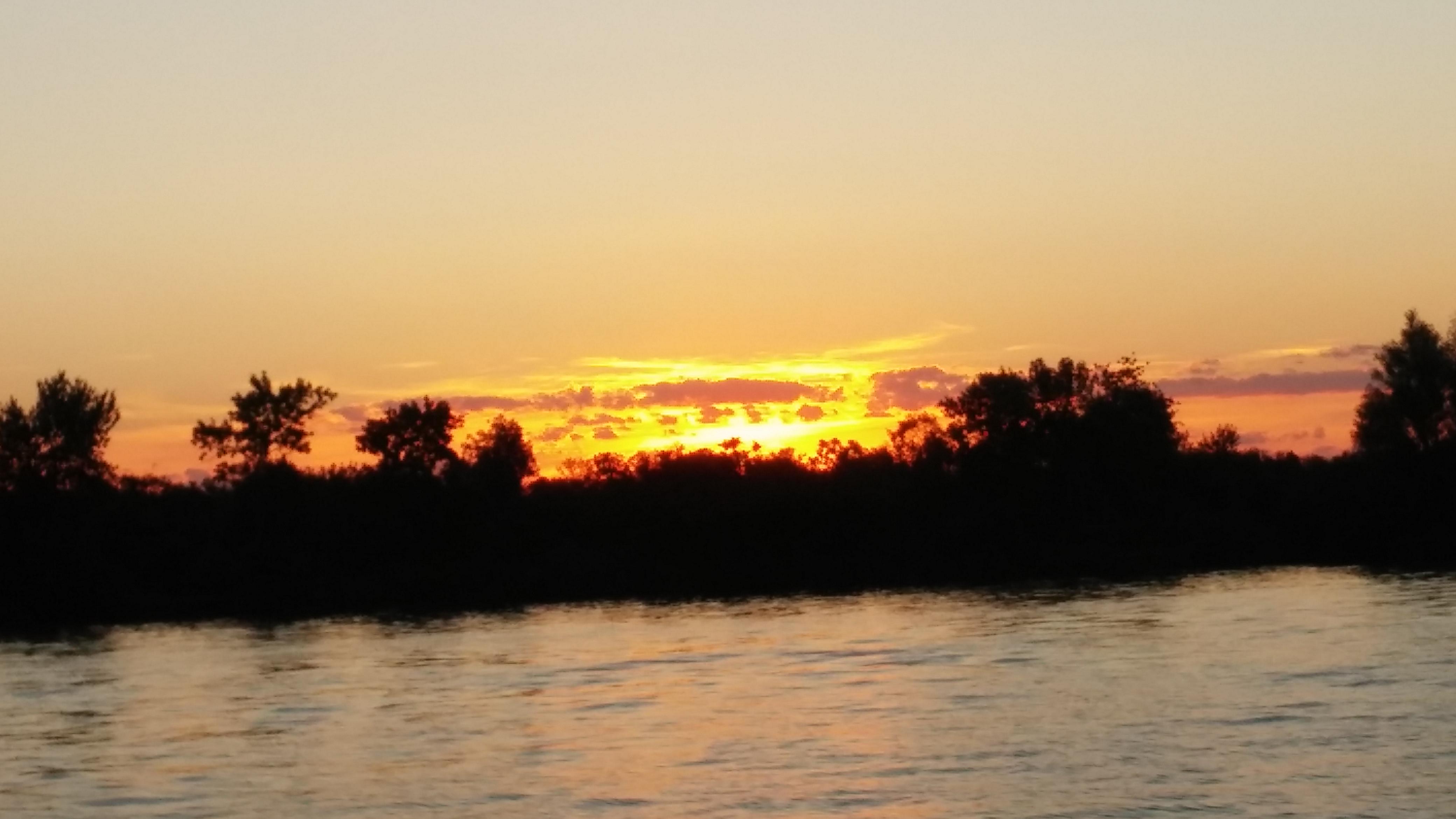 Fed Arg esquí y wake banner