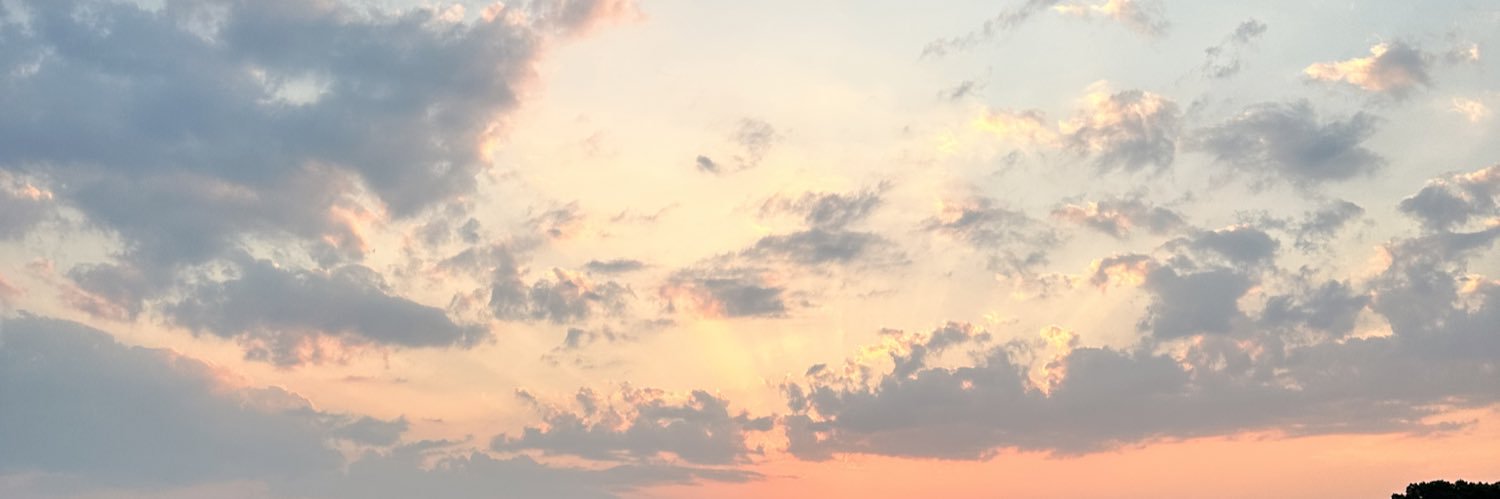 SweetIcedTay's profile banner image