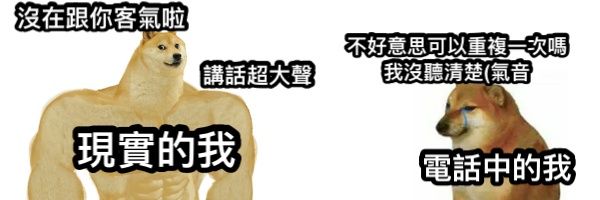酉時春 banner